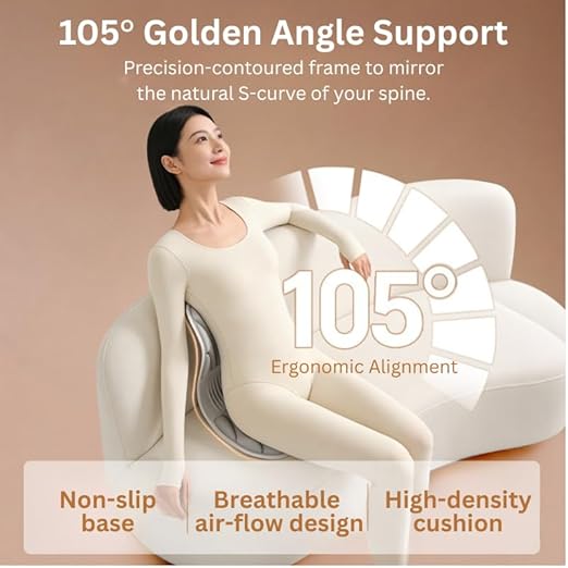 Ergonomic Lumbar Support Cushion for Back Support & Pain Relief | 6-Zone Pressure Distribution Posture Corrector for Office Chair, Car Seat, Desk, etc. | Great Mother’s Day Gift (Gray)