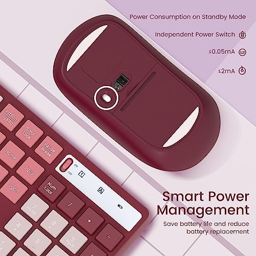 Wireless Keyboard and Mouse Combo, Lovaky 2.4G Full-Sized Ergonomic Keyboard Mouse, 3 DPI Adjustable Cordless USB Keyboard and Mouse, Quiet Click for Computer/Laptop/Windows/Mac (1 Pack, Rose)