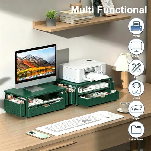 Spacrea Desk Organizers and Accessories, Printer Stand with Storage, Green