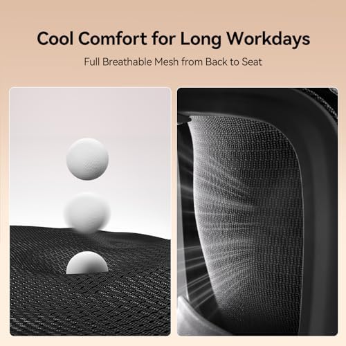 SIHOO B100 Mesh Ergonomic Office Chair with Adaptive Lumbar Support
