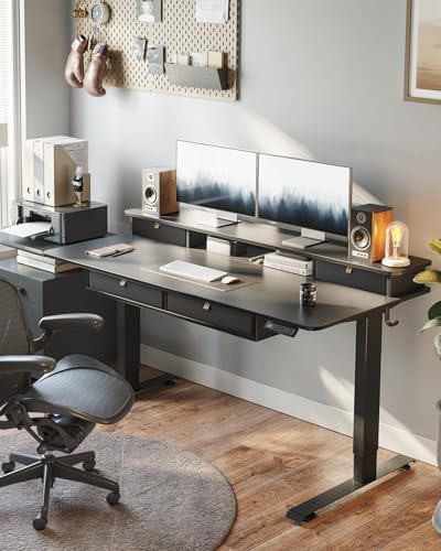 FEZIBO 48 x 24 inch Standing Electric Desk with Drawers, Black