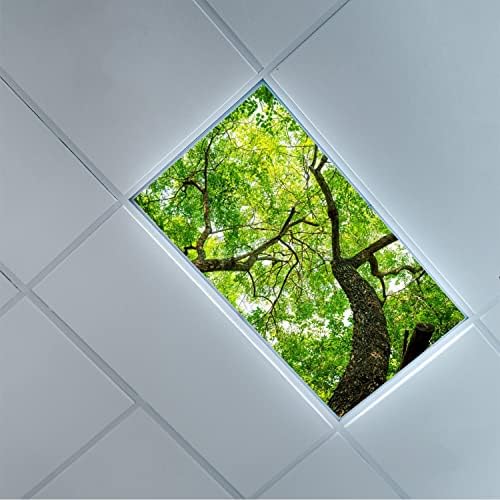 Fluorescent Light Cover Decorative Ceiling Light Filters,Tree pattern,for Classroom Office Hospitals Home Ceiling Decorative,2ft x 4ft,Green
