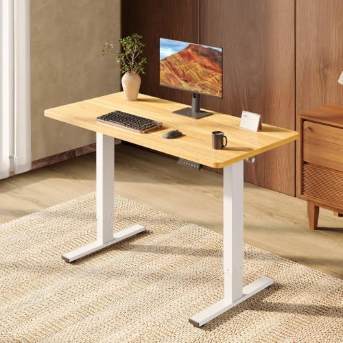 SANODESK One-Piece 48 x 24'' Electric Height Adjustable Standing Desk
