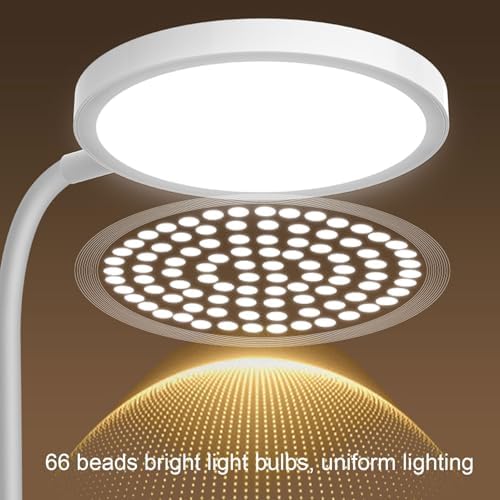 Keenso LED Desk Lamp with Flexible Gooseneck