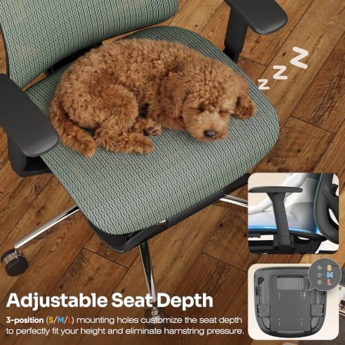 GABRYLLY Ergonomic Office Chair with Adjustable Lumbar Support, 3D Armrests & Headrest, 135° Reclining Chair with Footrest & Large Steel Base,300LBS Swivel Desk Chair(GYMN01-JG)