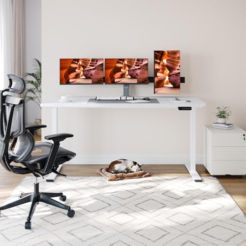71''x31''Dual Motor Adjustable Large Standing Desk for Home Office