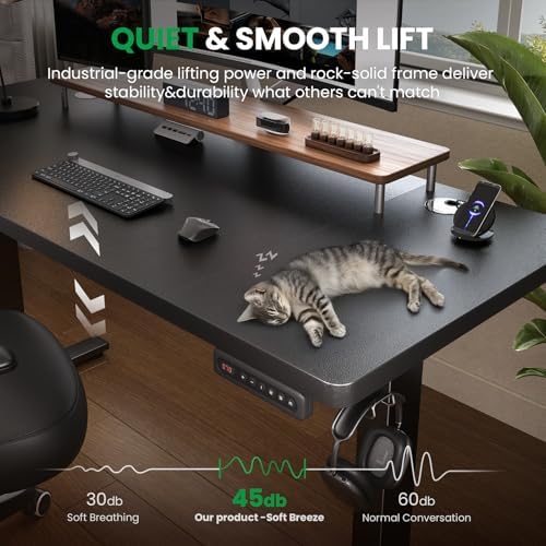 SIAGO Black 48x24 in Electric Standing Desk, 0.8 Inch Thick Tabletop