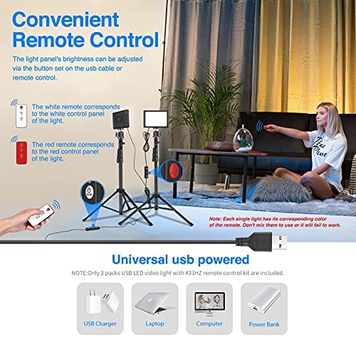Neewer Dimmable 5600K USB LED Video Light with Pro Adjustable Tripod Stand and Color Filters, 2-Pack for Tabletop/Low-Angle Shooting, Zoom/Video Conference Lighting/Gaming/YouTube Video/Photography