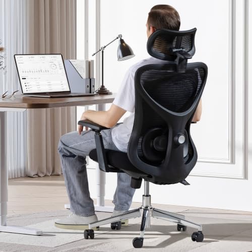 LAIAN Ergonomic Office Chair Big and Tall with Comfy Seat & Lumbar Support