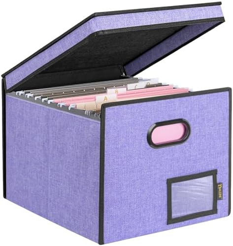 BALEINE File Organizer Box with Lid, Collapsible Hanging File Storage Box