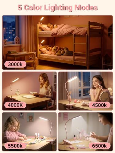 Pink Desk Lamp for Dorm Lamp, 9 Brightness+5 Color Clip on Light, Cute Lamp