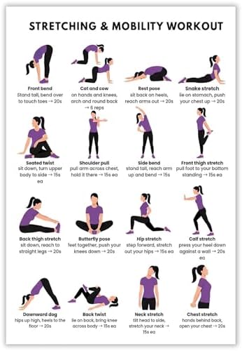 Stretching & Mobility Workout Poster, 16 Illustrated Full-Body Flexibility Chart with Timed Hold Guides, Bodyweight Daily Stretch Reference for Desk Soreness & Post-Workout Joint Recovery(8x12inchs，Unframed)