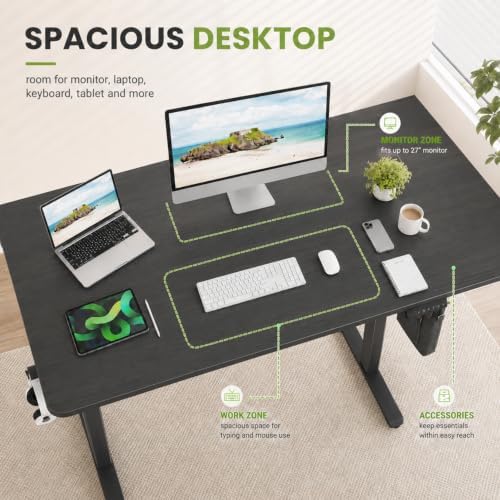 56"x24" Electric Standing Desk, Height Adjustable Desk