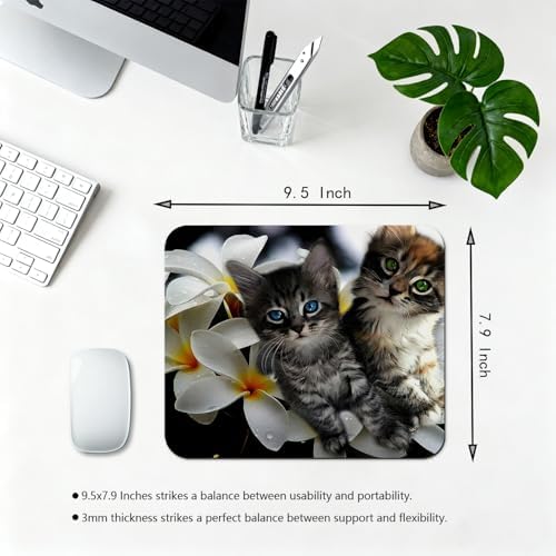 9.5x7.9 Inch Office/Gaming Mouse Pad, Lovely Kittens on Tropical Plumeria Flowers Adorable Blue Green Eyed Cats Pets, Cute Anti-Slip Mat for Desk Decor