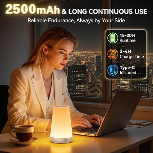 Auxmir Rechargeable Night Light, Touch Table Lamp with Remote, Silver