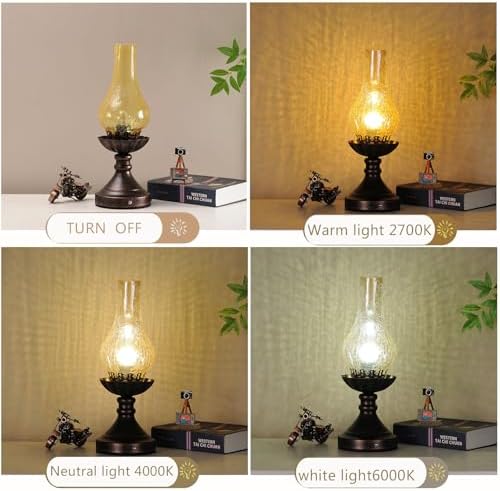 Farmhouse Rustic Touch with USB A+C Charging Ports Table Lamps ，Bedroom Bedside Vintage Lantern Hurricane Lamps-USB