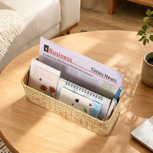 BTSKY 2 Slots Mail Organizer Countertop, Seagrass Mail Holder for Home