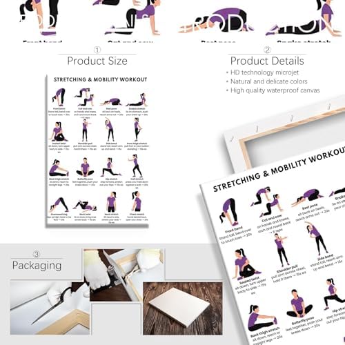 Stretching & Mobility Workout Poster, 16 Illustrated Full-Body Flexibility Chart with Timed Hold Guides, Bodyweight Daily Stretch Reference for Desk Soreness & Post-Workout Joint Recovery(24x36inchs，Wrapped Framed)