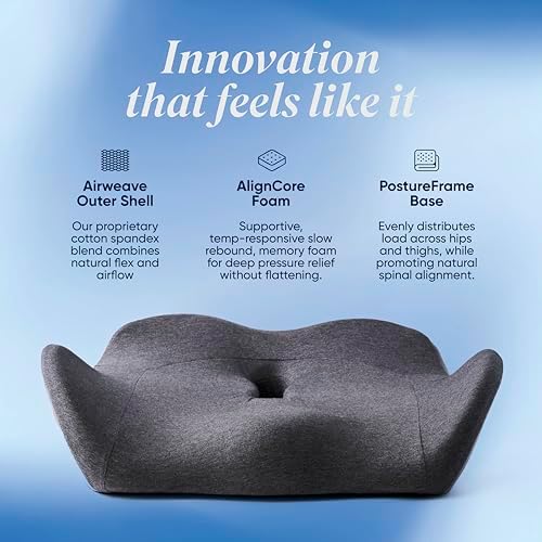 OneCushion Advanced Ergonomic Seat Cushion for Office Chair with Firm AlignCore Foam for All-Day Comfort, Posture Support & Pressure Relief for Work or Home Use - Sky Blue