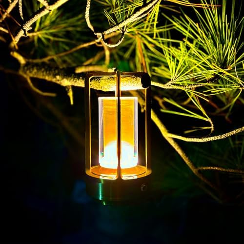 Rechargeable Table Lamp, Cordless Outdoor Lamp for Camping(Gold)