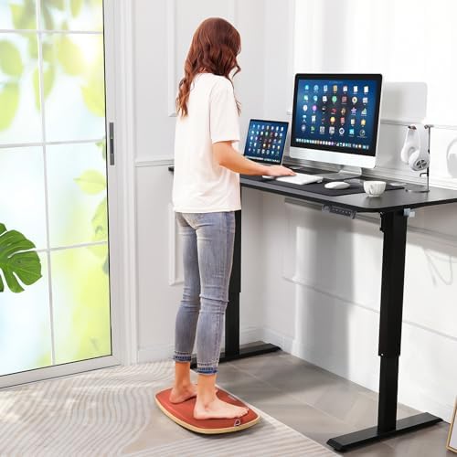 farexon 48x24 Inch Electric Standing Desk with Wheels,Black