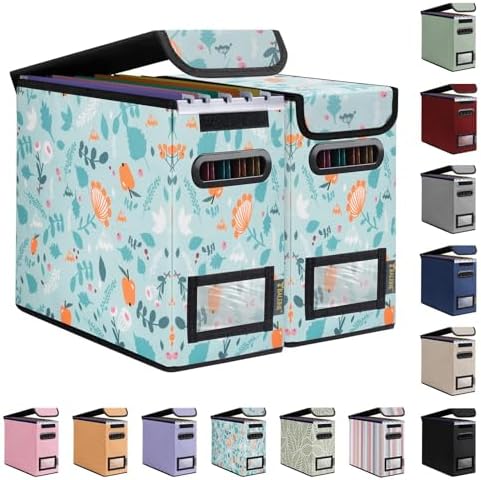 BALEINE File Organizer Box with Lid, Collapsible Hanging File Storage Box