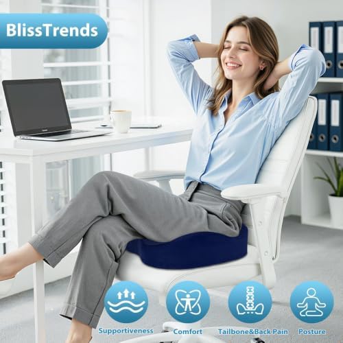 BlissTrends Extra Thick Seat Cushion for Office Chair & Car Seat, Blue