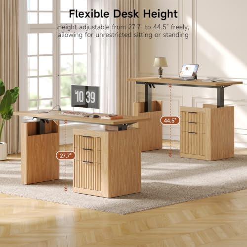 ONBRILL 63" Electric Standing Desk with File Cabinet & Storage, Oak Brown