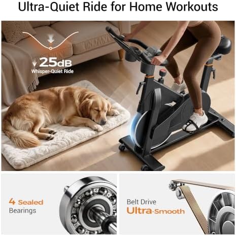 CURSOR Exercise Bike, Magnetic Friction Stationary Bikes for Home with APP