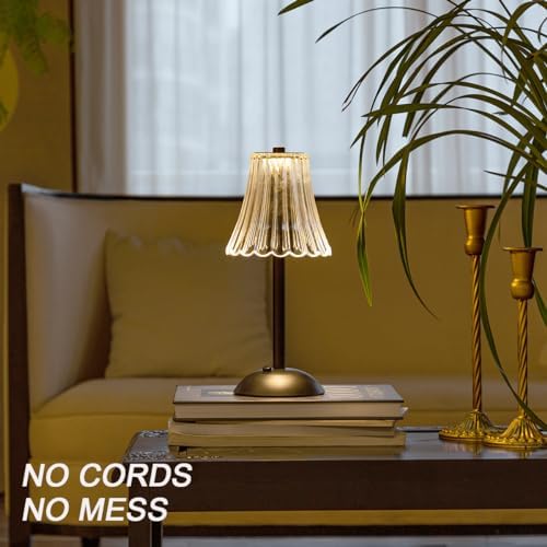 HEQET Cordless Table Lamps for Home,Table,Dining Room, Gold Rechargeable Lamps, USB Charge 12'' Tall LED Brass Portable Outdoor Indoor Table Lamp with Built-in Dimmer (Black-White)