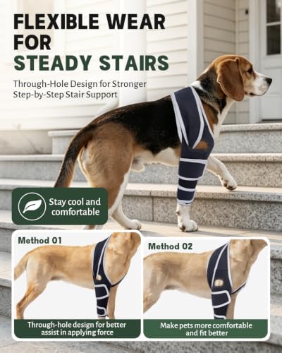 Dog Front Leg Brace for Left & Right Leg, (Size S).