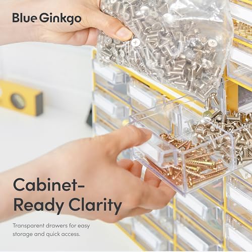 Blue Ginkgo 20-Drawer Storage Cabinet Organizer, Blue, Made in Korea