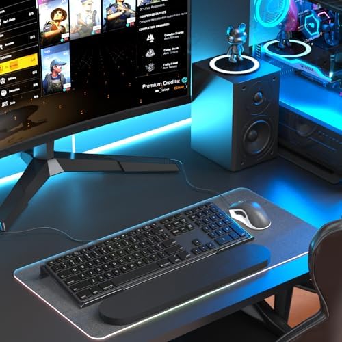 Richboom Ergonomic Computer Keyboard Stand - Tilt PC Keyboard Stand Riser for Easy Typing, Acrylic Keyboard Tray Holder for Office Desk, Home, School, with Silicone Anti-Slip Case, Black (Pack of 2)
