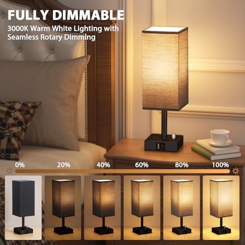 Black Bedside Table Lamps Set of 2 - Dimmable, USB C+A, 2 AC Outlets