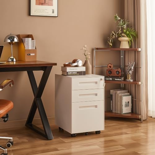 Guizeeopo Fully Assembled Home Office Filing Cabinet with Lock