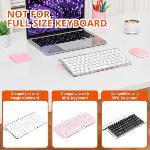 Richboom Computer Keyboard Stand for Desktop, 11.8" Tiny Clear Acrylic Keyboard Riser 78 Keys Compact Keyboard Lift for Desk Ergonomic Short Keyboard Holder Tray with Black and Pink Silicone Strip