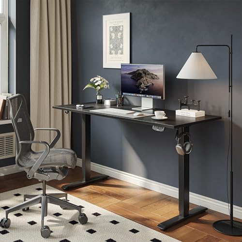 Agilestic 40 * 24 Inch Height Adjustable Electric Standing Desk, Black