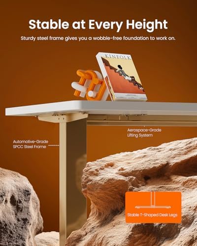 ErGear Height Adjustable Electric Standing Desk, 48 x 24 Inches Sit Stand up Desk, Memory Computer Home Office Desk, White+Gold