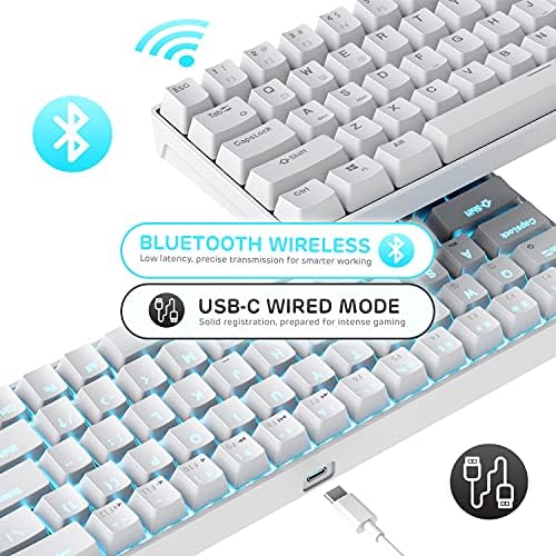 RK ROYAL KLUDGE RK68 Wireless Hot Swappable 65% Mechanical Keyboard Gaming