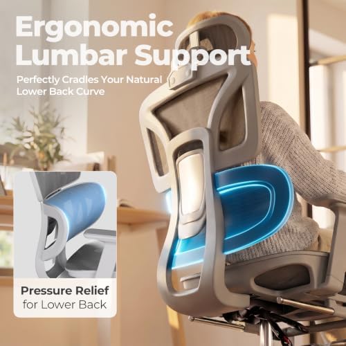 HLDIRECT Ergonomic Mesh Office Chair with Footrest, Lumbar Support(Grey)