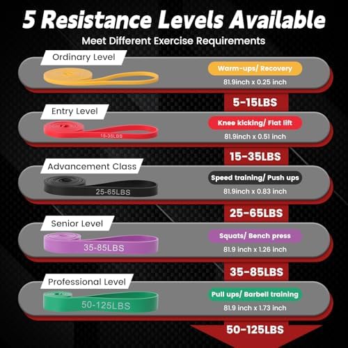 Pull Up Assistance Bands Set of 5 - Resistance Bands for Working Out, Exercise Bands for Pull Up Bands, Full Body Training, Muscle Building, Physical Therapy, Home & Gym Fitness for Men & Women