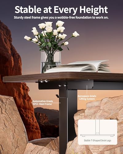 BIZUM Electric Standing Desk 63 x 24 Inch Computer Desk-Gaming Desk Dark Walnut Home Office Desks Height Adjustable Memory Stand Up Computer Workstation
