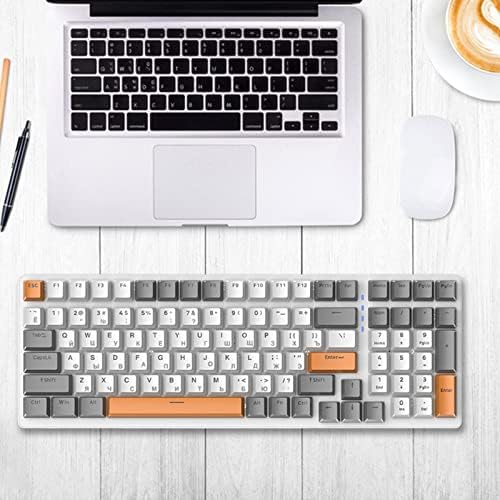 predolo Russian Mechanical Gaming Keyboard 100 Keys, Ergonomics,RGB, Backlit, USB Wired Plug and Play Durable Portable 98% Allocation for PC Laptop, Style E