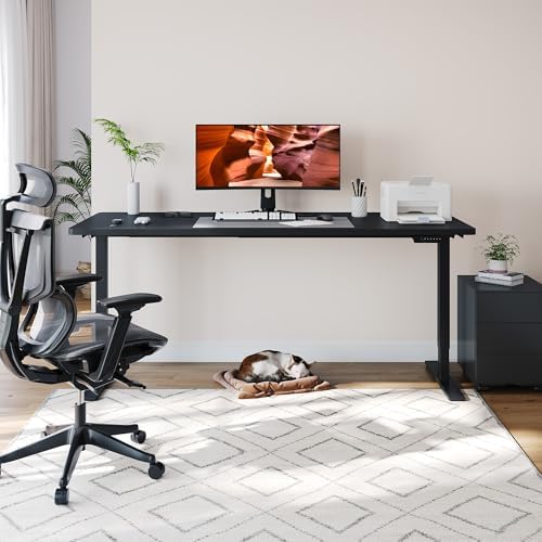 79''x31''Dual Motor Adjustable Large Standing Desk for Home Office
