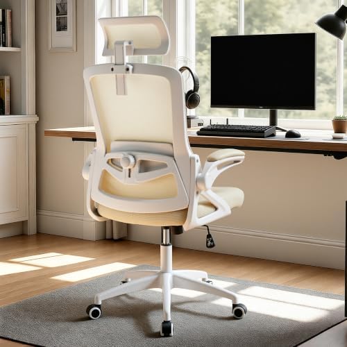 Ergonomic Mesh Office Chair with 2D Adjustable Headrest and Lumbar Support