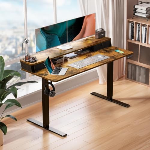 Kingant 48x24 Inch Electric Standing Desk with Dual Drawers, Rustic Brown