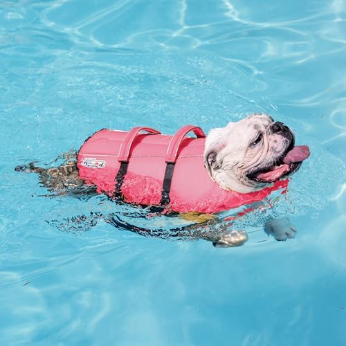 Outward Hound Granby Splash Dog Life Jacket, Life Vest, Pink, X-Small