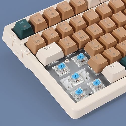 Merdia Wireless Mechanical Keyboard, Triple Mode 2.4G/USB-C/BT Gaming Keyboards 100 Keys RGB Backlit, Blue Switch Keyboard | Rechargeable Mechanical Gaming Keyboards | Brown Combo