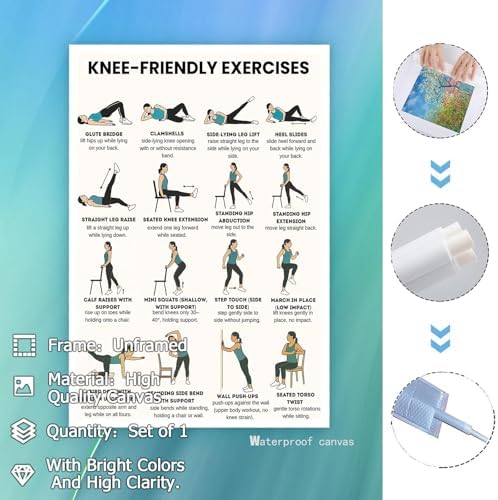 Knee-Friendly Low Impact Workout Poster, 16 Illustrated Joint-Safe Leg & Core Training Chart, Chair Supported Gentle Exercise Reference for Sensitive Knee Rehabilitation & Senior Home Fitness(16x24inchs，Unframed)
