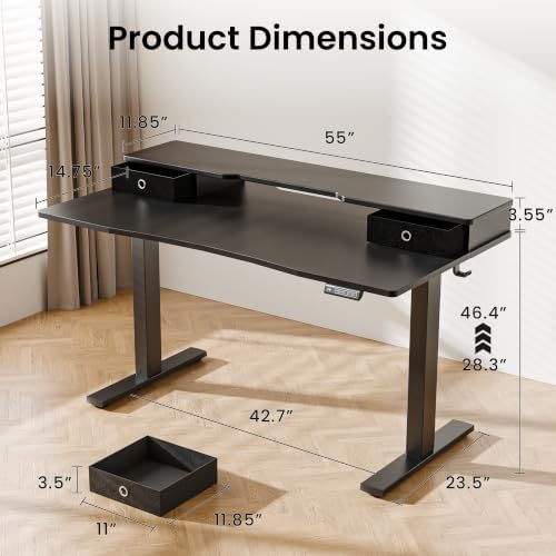 Realbear 55x26 Inch Electric Standing Desk with Drawers, Black